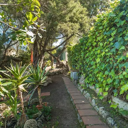 Di Molly San Pasquale